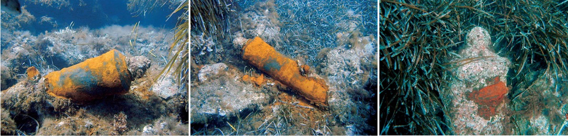 CANNONI DI PUNTA SPALMATORE