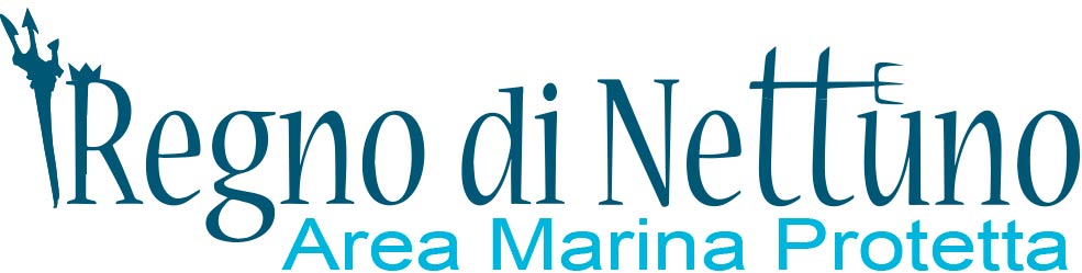 logo ampregnodinettuno
