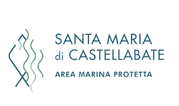 logo santamariadicastellabate