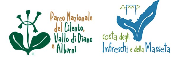 logo vettoriale Registrato