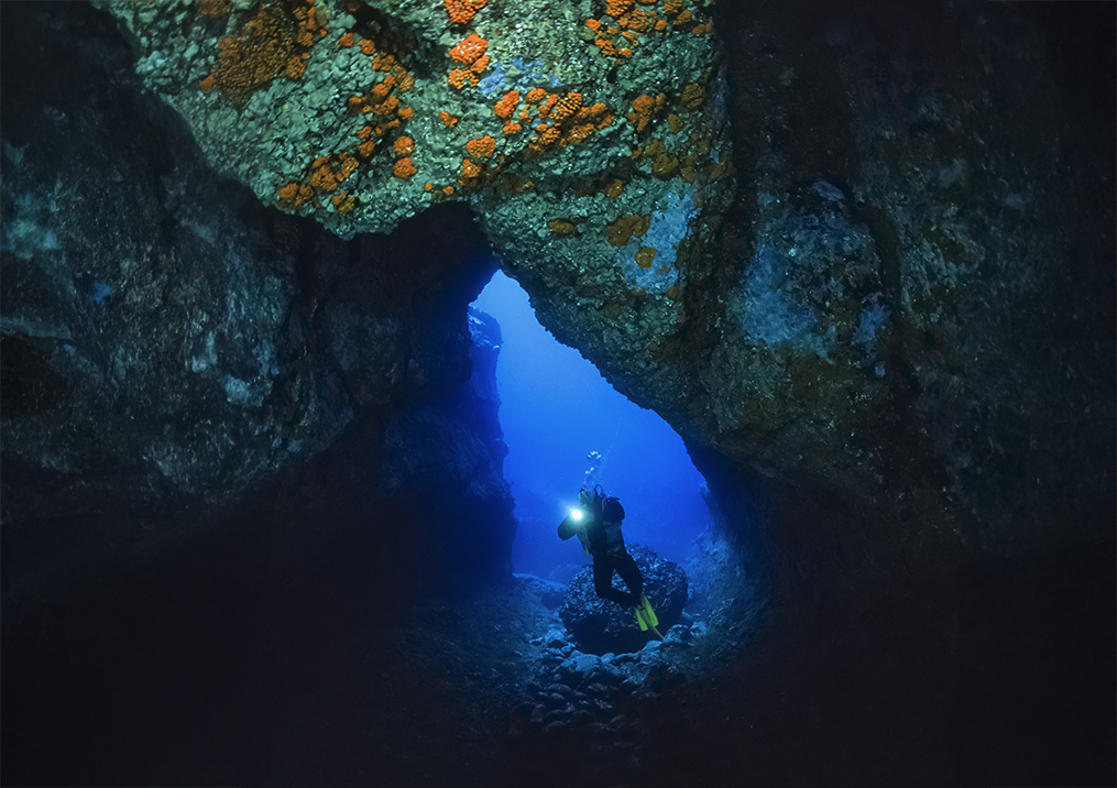 Le Grotte