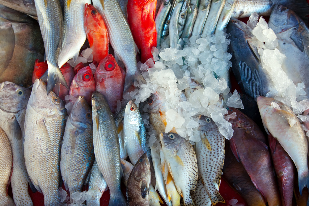 Le Zone Fao, per conoscere l’origine del pescato