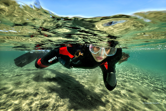 ANS Diving Ischia
