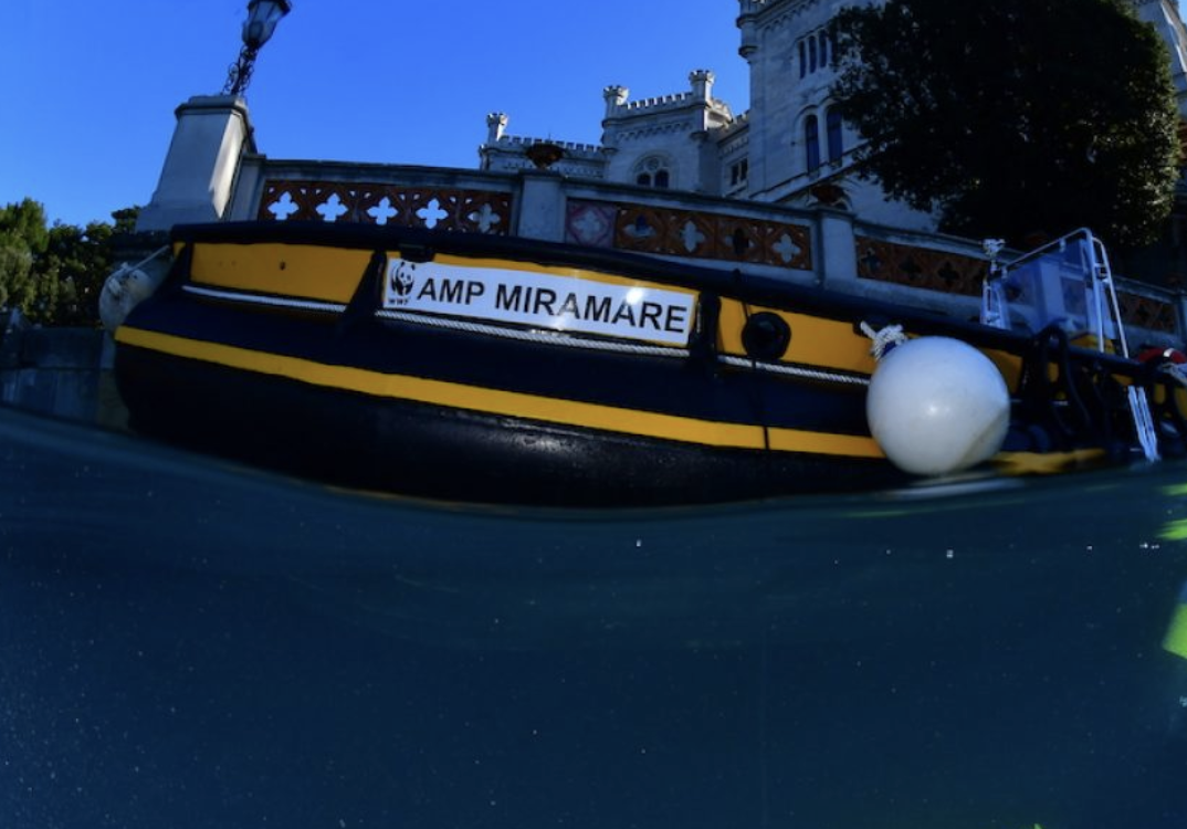 Immersioni AMP Miramare