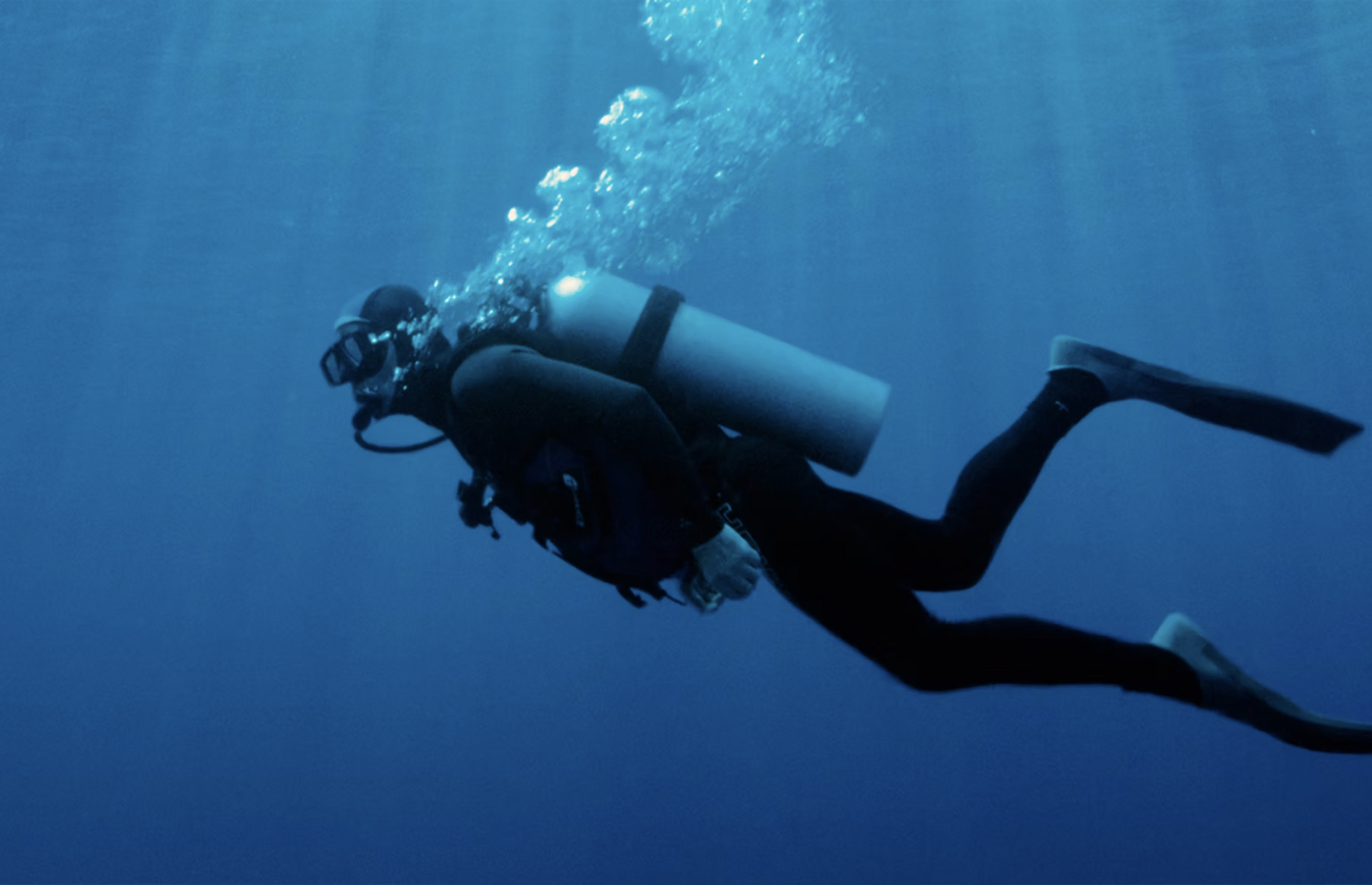 Diving 5 Terre