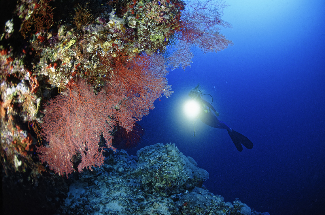 Diving in Puglia