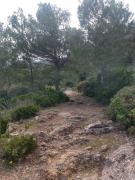 IMG-20250402-WA0013