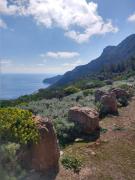 IMG-20250402-WA0017