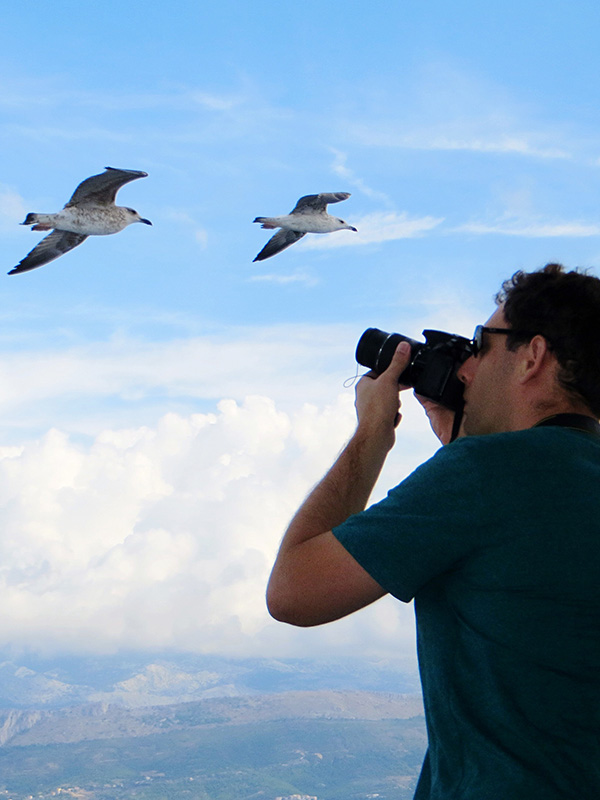 Birdwatching 